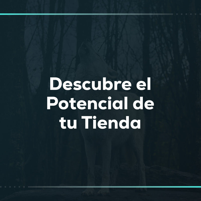 Descubre el potencial de tu tienda: diagnóstico de performance en Shopify