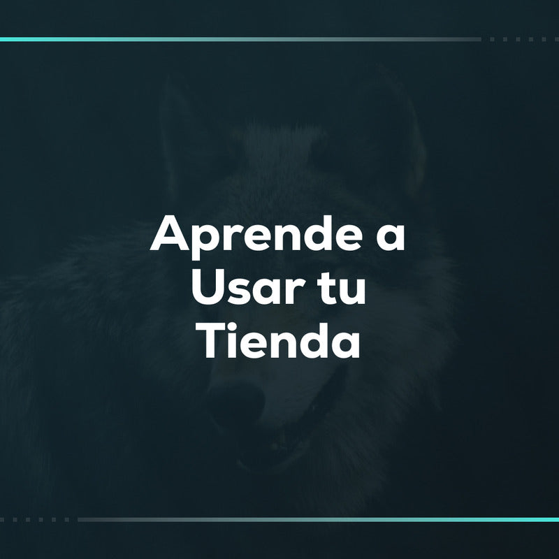 Aprende a usar tu tienda: capacitación personalizada de Shopify