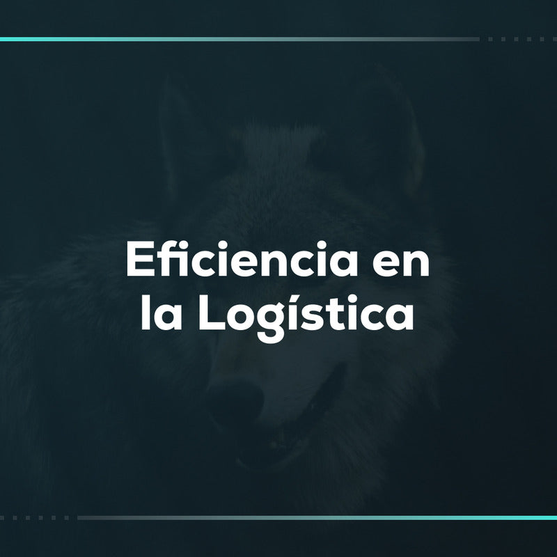 Eficiencia en la logística: configuración de envíos en Shopify