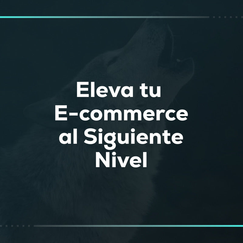 Eleva tu ecommerce al siguiente nivel: consultoría estratégica en tiendas online Shopify