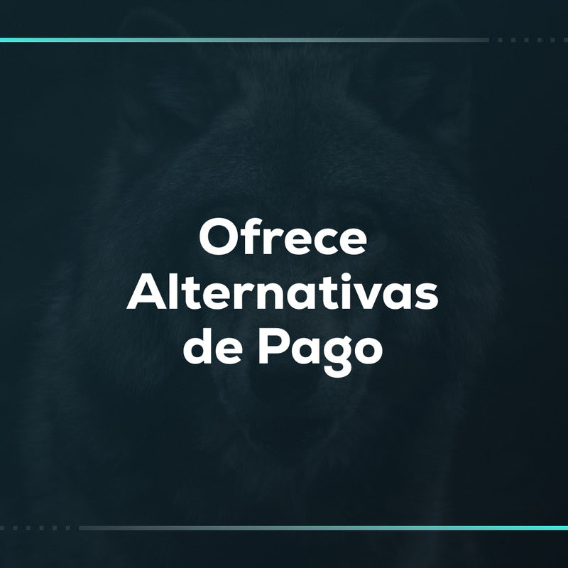 Ofrece alternativas de pago: cuotas dinámicas en el precio de producto en Shopify