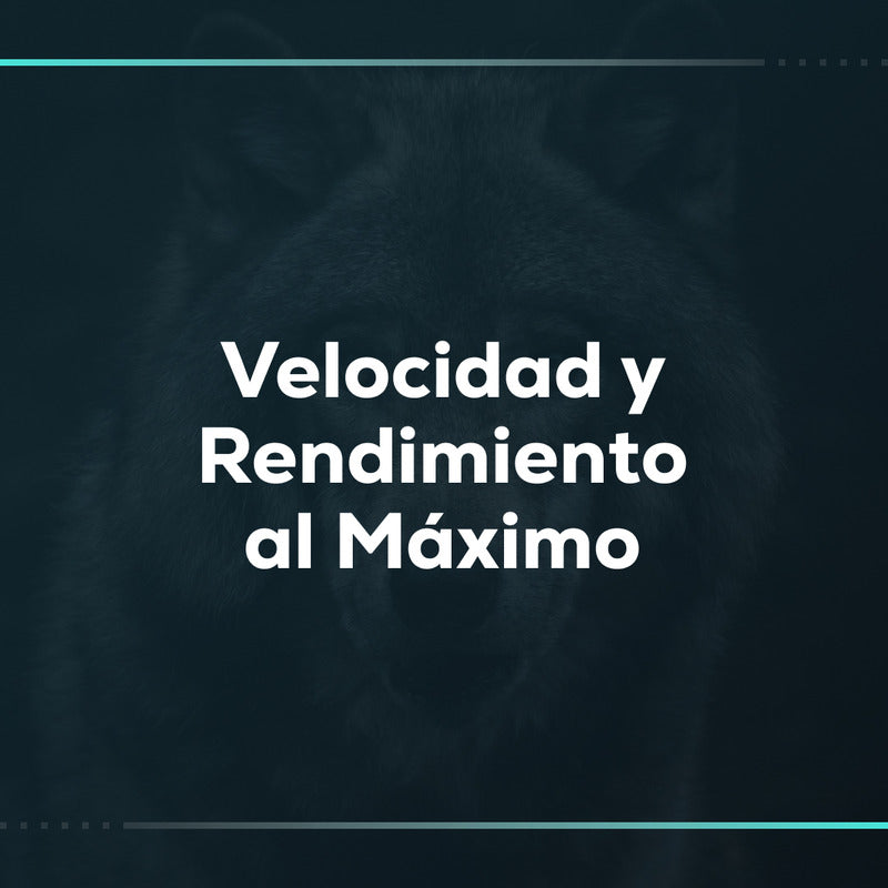 Velocidad y rendimiento al máximo: optimización de velocidad de tu tienda Shopify